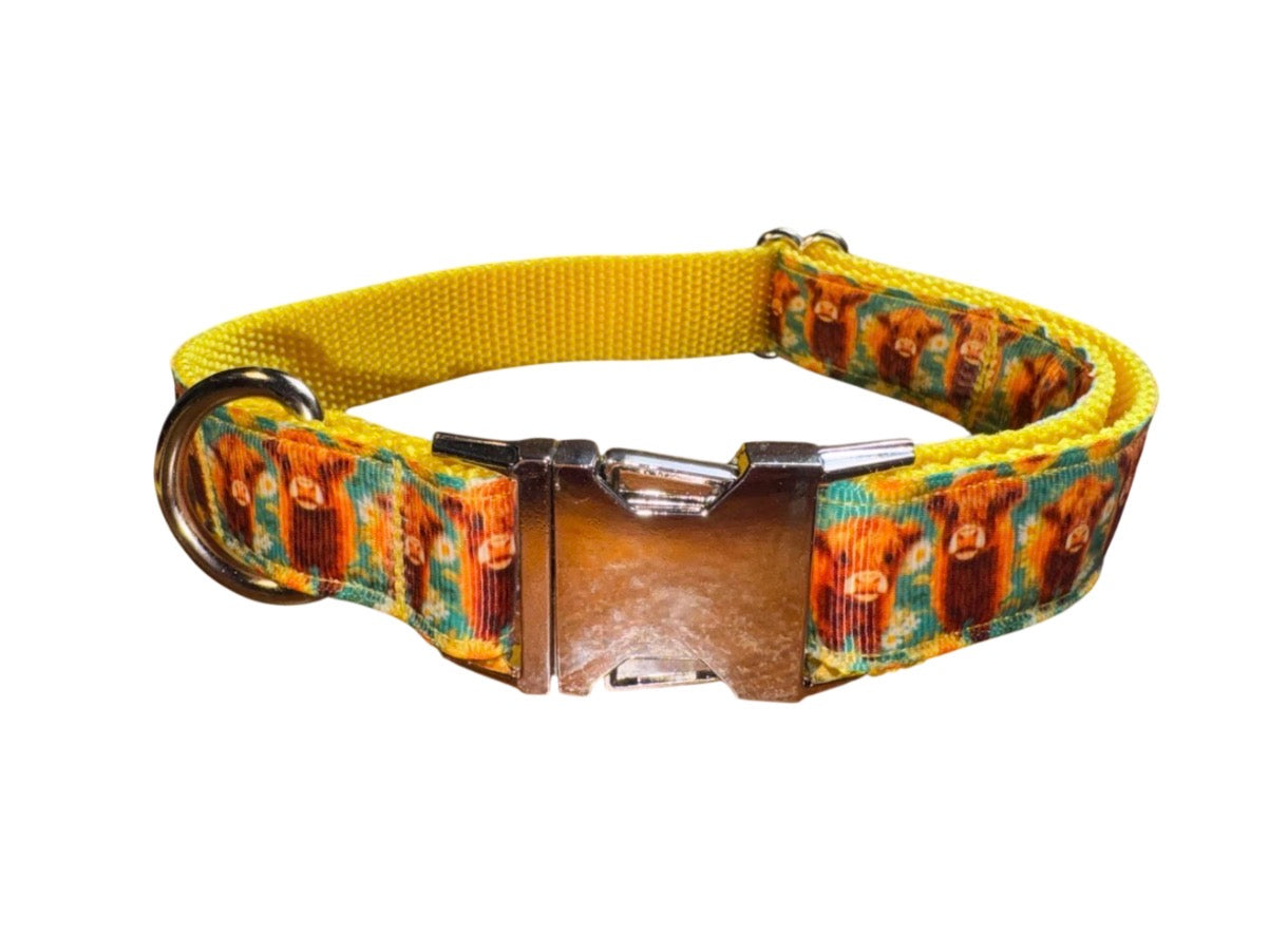 Dog Collar Highland Cow Print Yellow Metal Collar with Heavy Duty Buckle