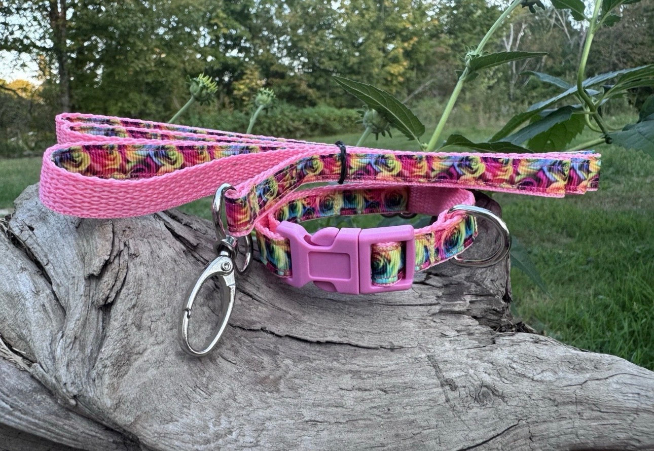 Dog Collar & Leash Set Small Rainbow Roses For A Very Small Dog Cat Or Puppy