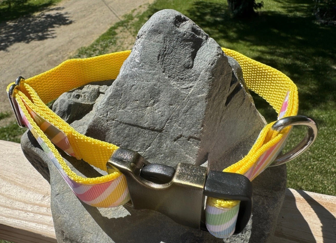 Dog Collar Rainbow Colors Large Handmade Heavy Duty With Buckle NEW