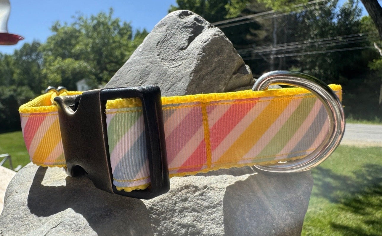 Dog Collar Rainbow Colors Large Handmade Heavy Duty With Buckle NEW