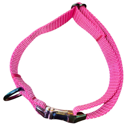 Dog Collar Hot Pink Fun Summer Color Large Handmade Heavy Duty W/ Metal Iridescent Heavy Duty Buckle NEW