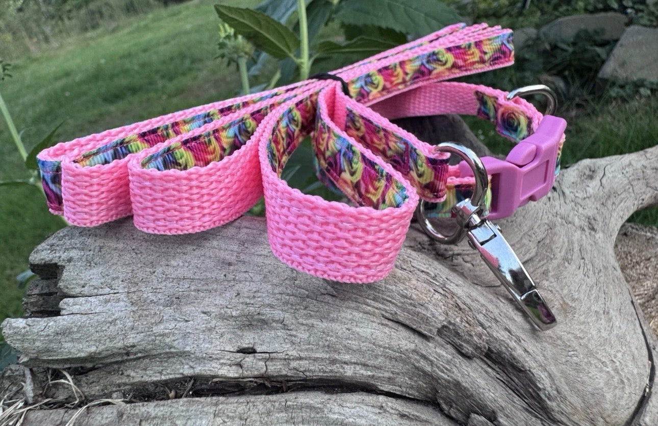 Dog Collar & Leash Set Small Rainbow Roses For A Very Small Dog Cat Or Puppy