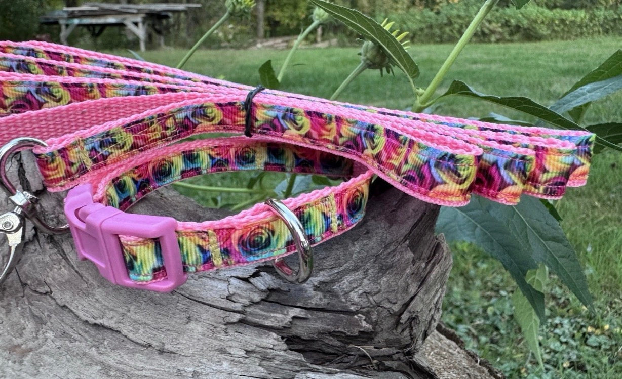 Dog Collar & Leash Set Small Rainbow Roses For A Very Small Dog Cat Or Puppy
