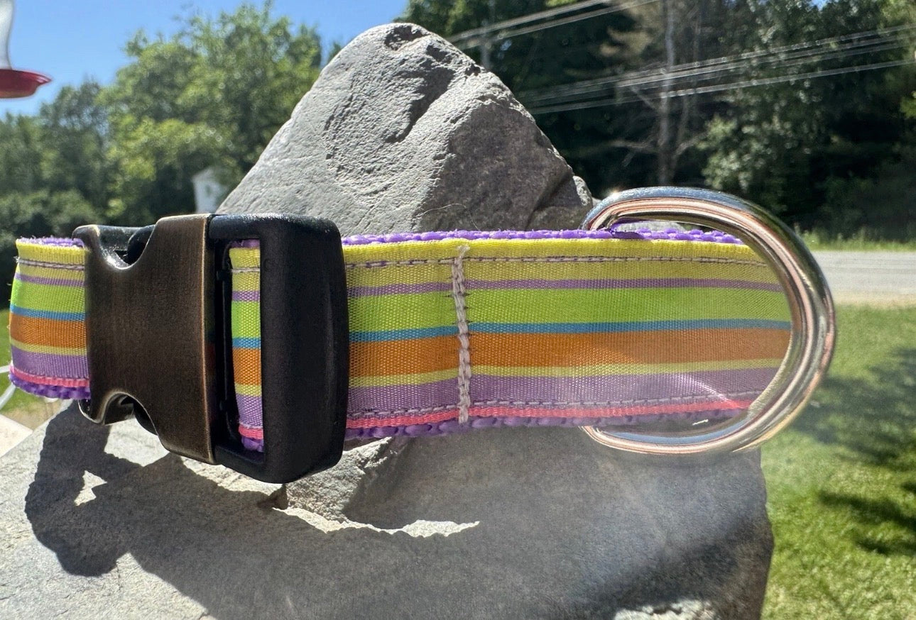 Dog Collar Rainbow Large Handmade Heavy Duty Striped With Buckle NEW
