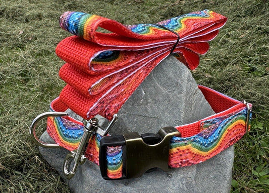 Large Handmade Heavy Duty Dog Collar & Leash Rainbow Multi Color Print