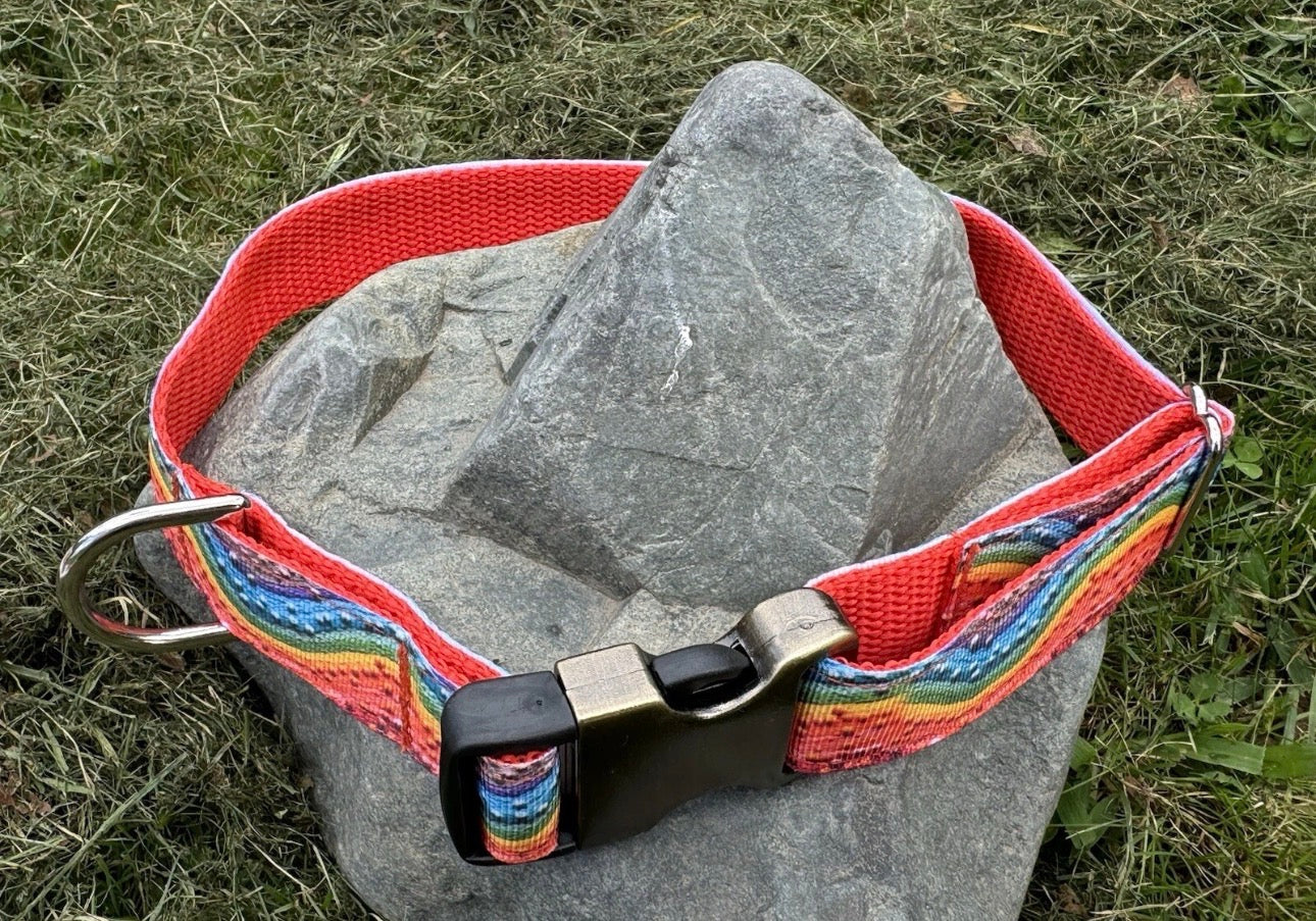 Large Handmade Heavy Duty Dog Collar & Leash Rainbow Multi Color Print