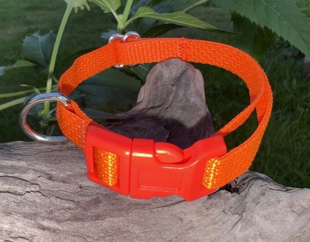 Dog/Cat/Puppy Collar Blaze Orange Small Handmade NEW Hunting Season