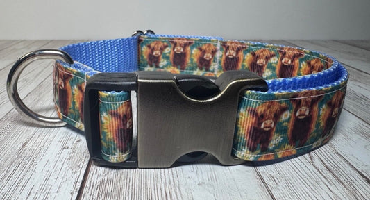 Dog Collar Highland Cow Blue Large Handmade Heavy Duty W/Buckle NEW
