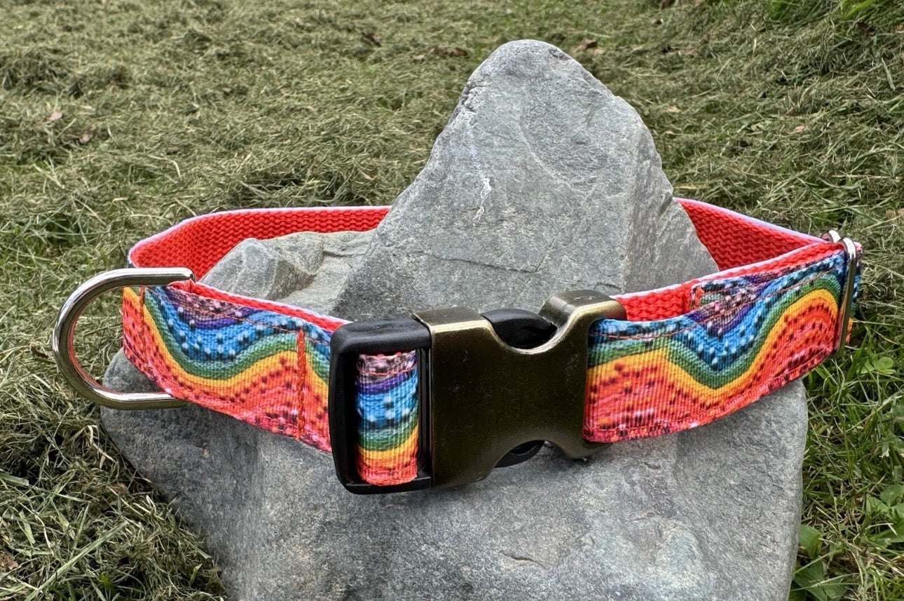 Large Handmade Heavy Duty Dog Collar & Leash Rainbow Multi Color Print