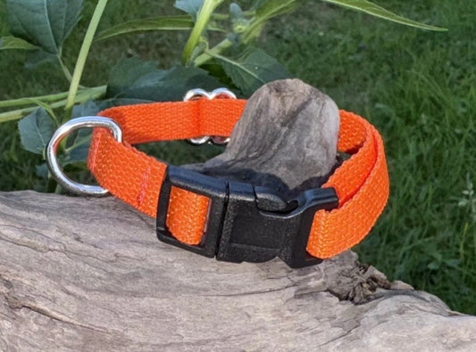 Dog/Cat/Puppy Collar Blaze Orange Small Handmade NEW Hunting Season