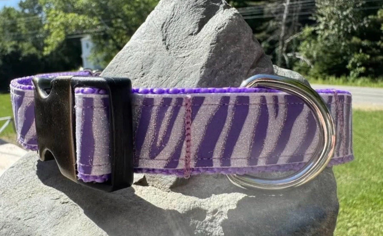 Dog Collar Zebra Stripe Purple Large Handmade Heavy Duty W/Buckle NEW