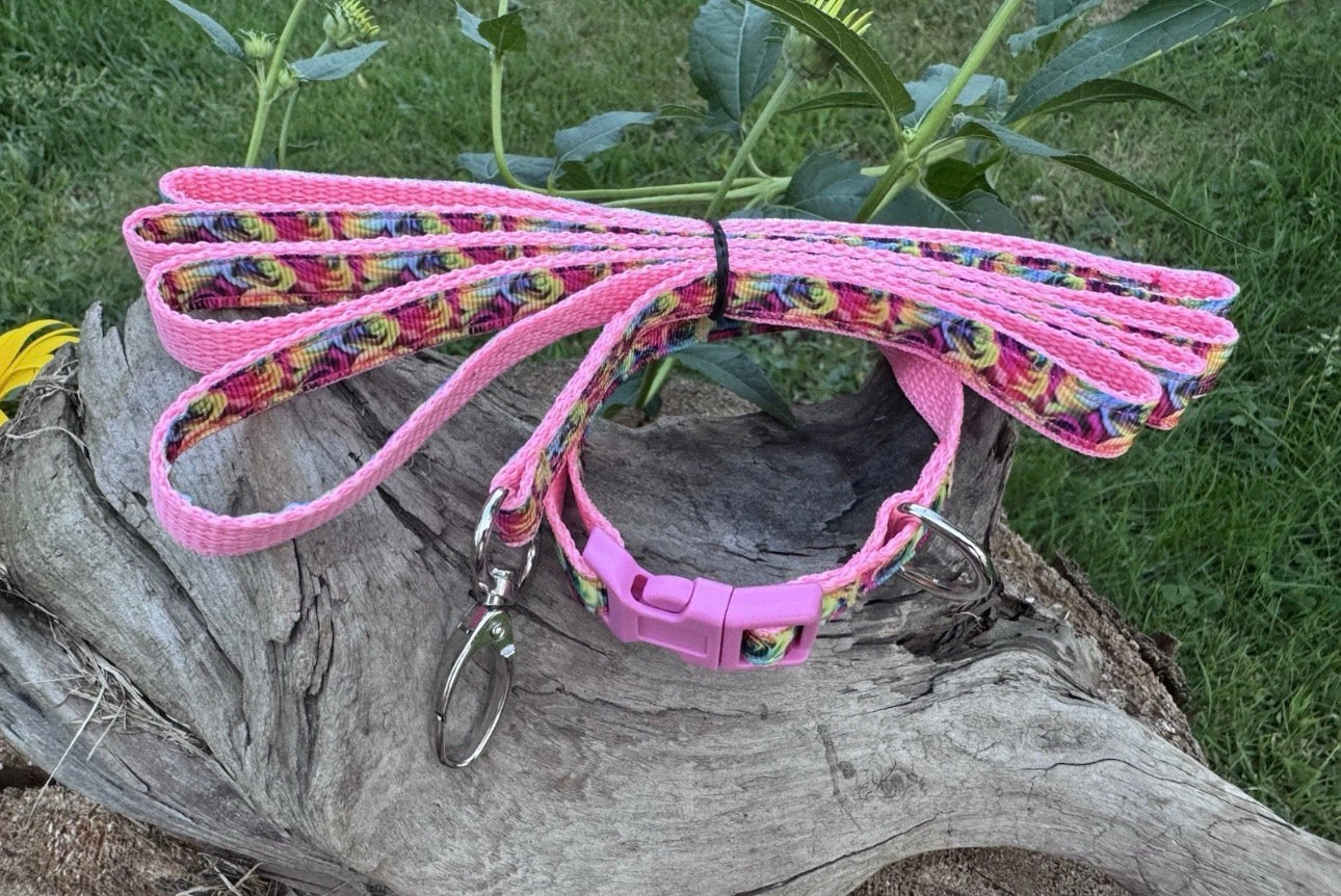 Dog Collar & Leash Set Small Rainbow Roses For A Very Small Dog Cat Or Puppy