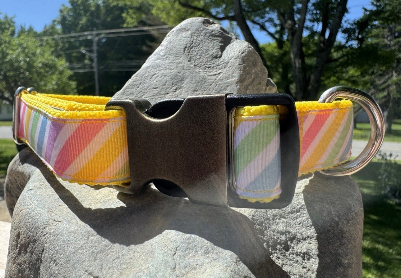 Dog Collar Rainbow Colors Large Handmade Heavy Duty With Buckle NEW