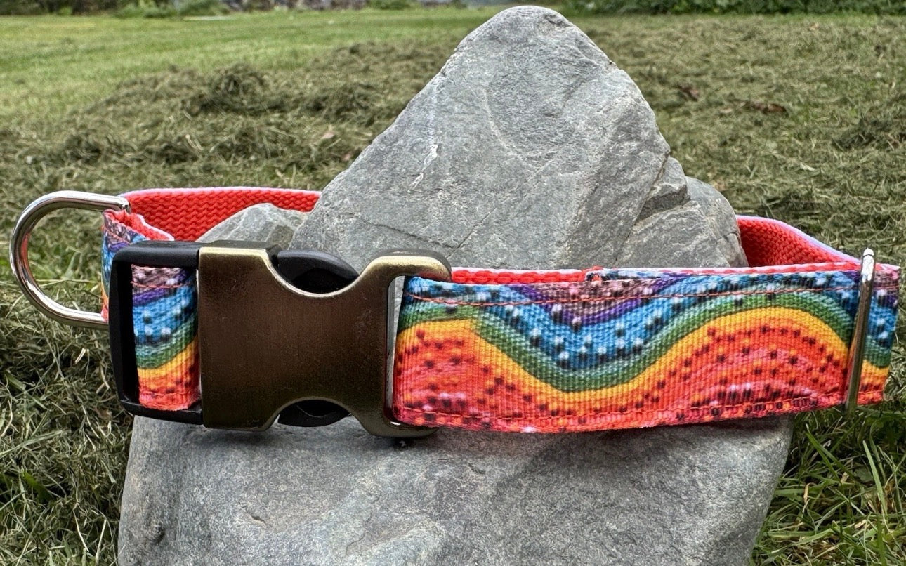 Large Handmade Heavy Duty Dog Collar & Leash Rainbow Multi Color Print